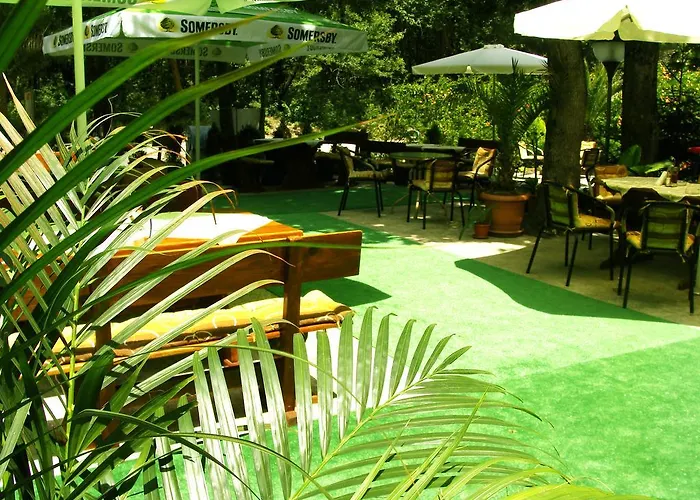 Sunny Paradise Family Kiten (Burgas)